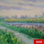 Walcheren, vlakbij thuis