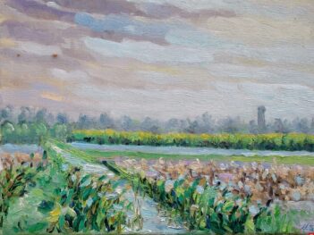 Walcheren, vlakbij thuis 2