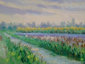 Walcheren, vlakbij thuis