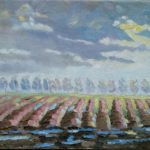 Polders in Zeeuws-Vlaanderen