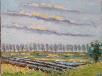 Polders in Zeeuws-Vlaanderen 2