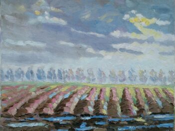 Polders in Zeeuws-Vlaanderen