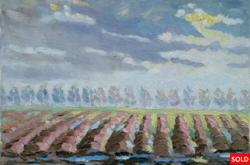 Polders in Zeeuws-Vlaanderen