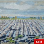 Geploegd land Walcheren