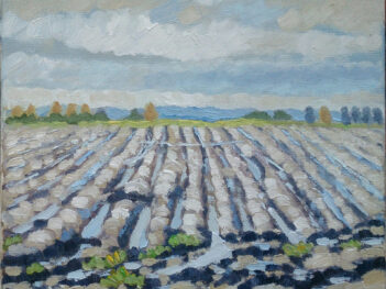 Geploegd land Walcheren