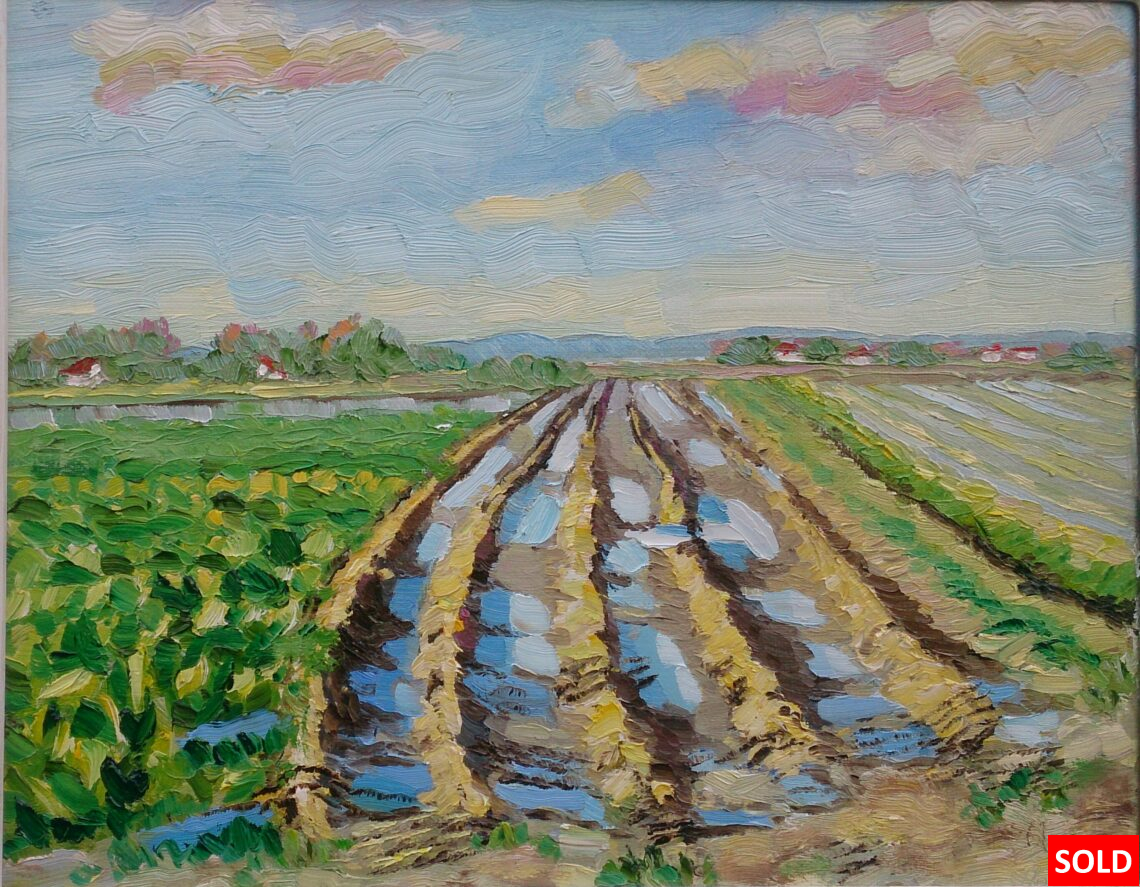 Tractorspoor Walcheren