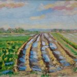 Tractorspoor Walcheren