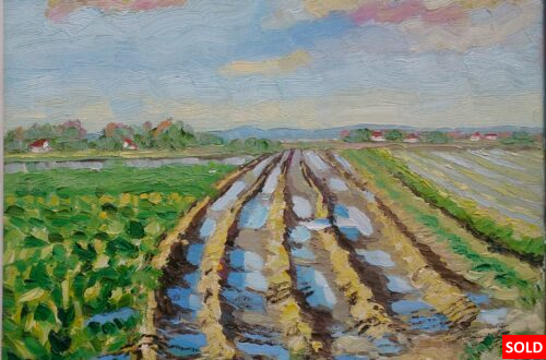 Tractorspoor Walcheren