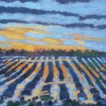 Zeeuws landschap met ondergaande zon