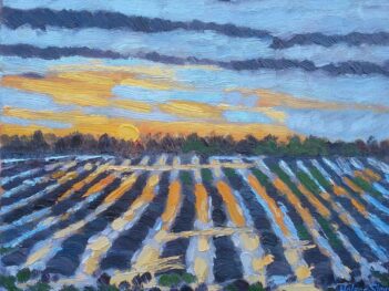 Zeeuws landschap met ondergaande zon