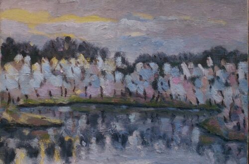 Kreek bij Veere in januari