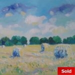 Hooien Finistere Bretagne 1