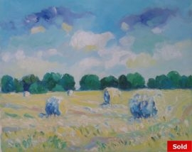 Hooien Finistere Bretagne 1