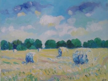 Hooien Finistere Bretagne 1