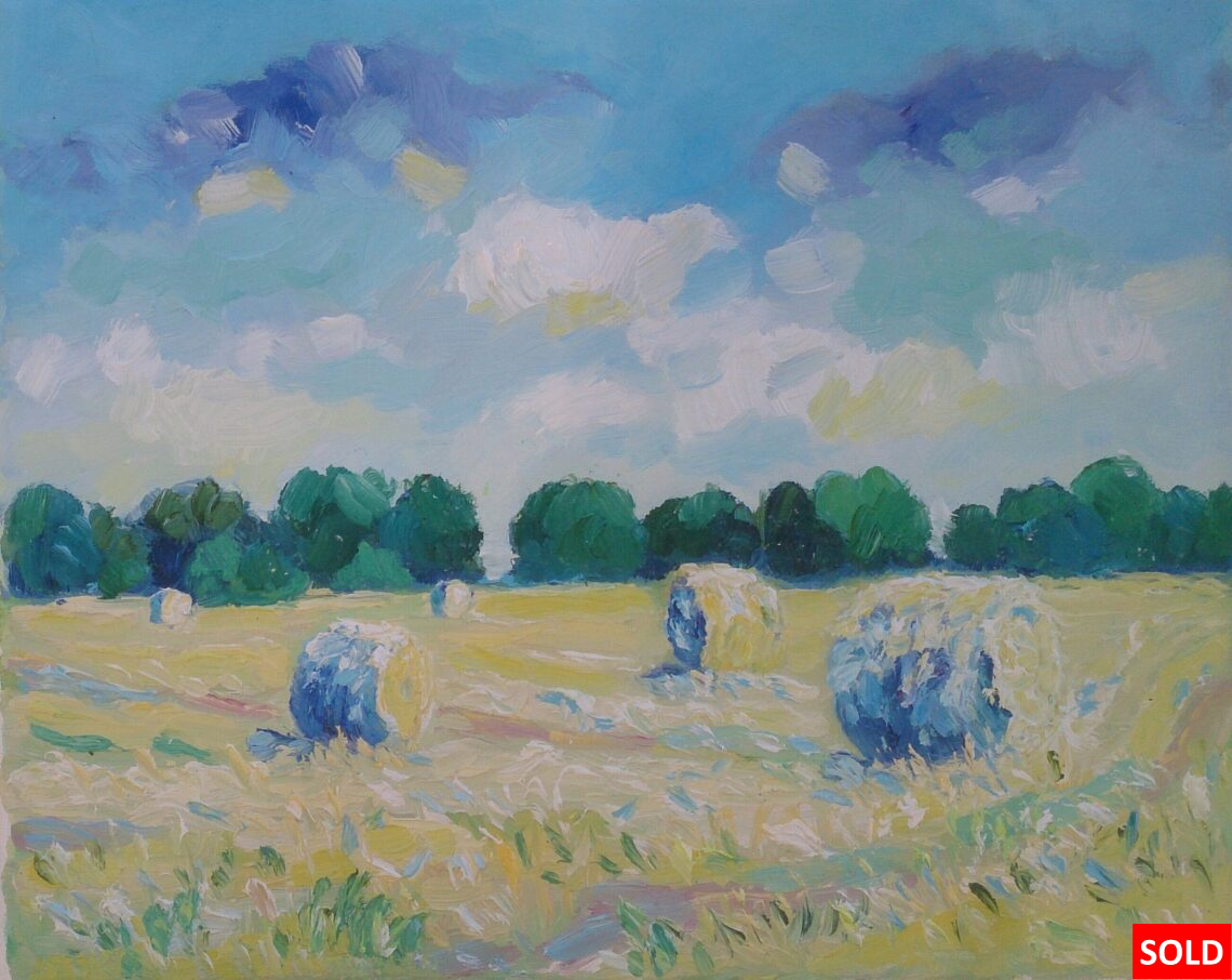 Hooien Finistere Bretagne 1