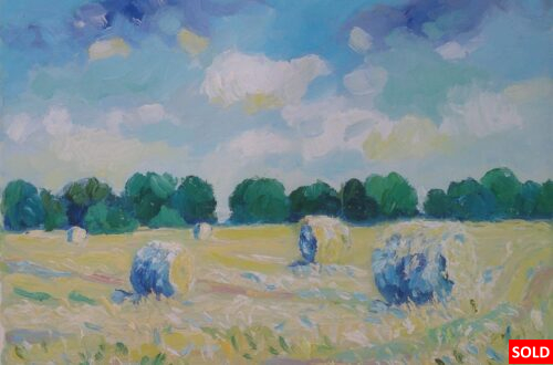 Hooien Finistere Bretagne 1