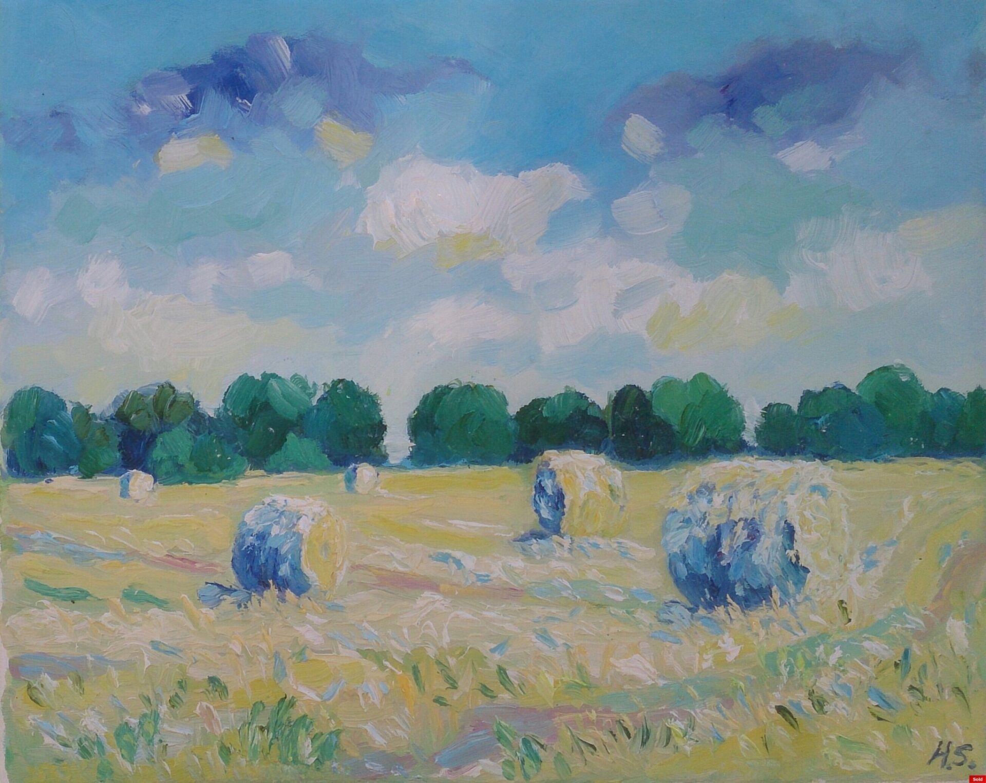 Hooien Finistere Bretagne 1