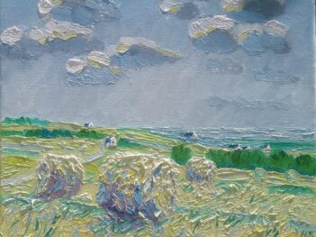 Hooien Finistere Bretagne 2