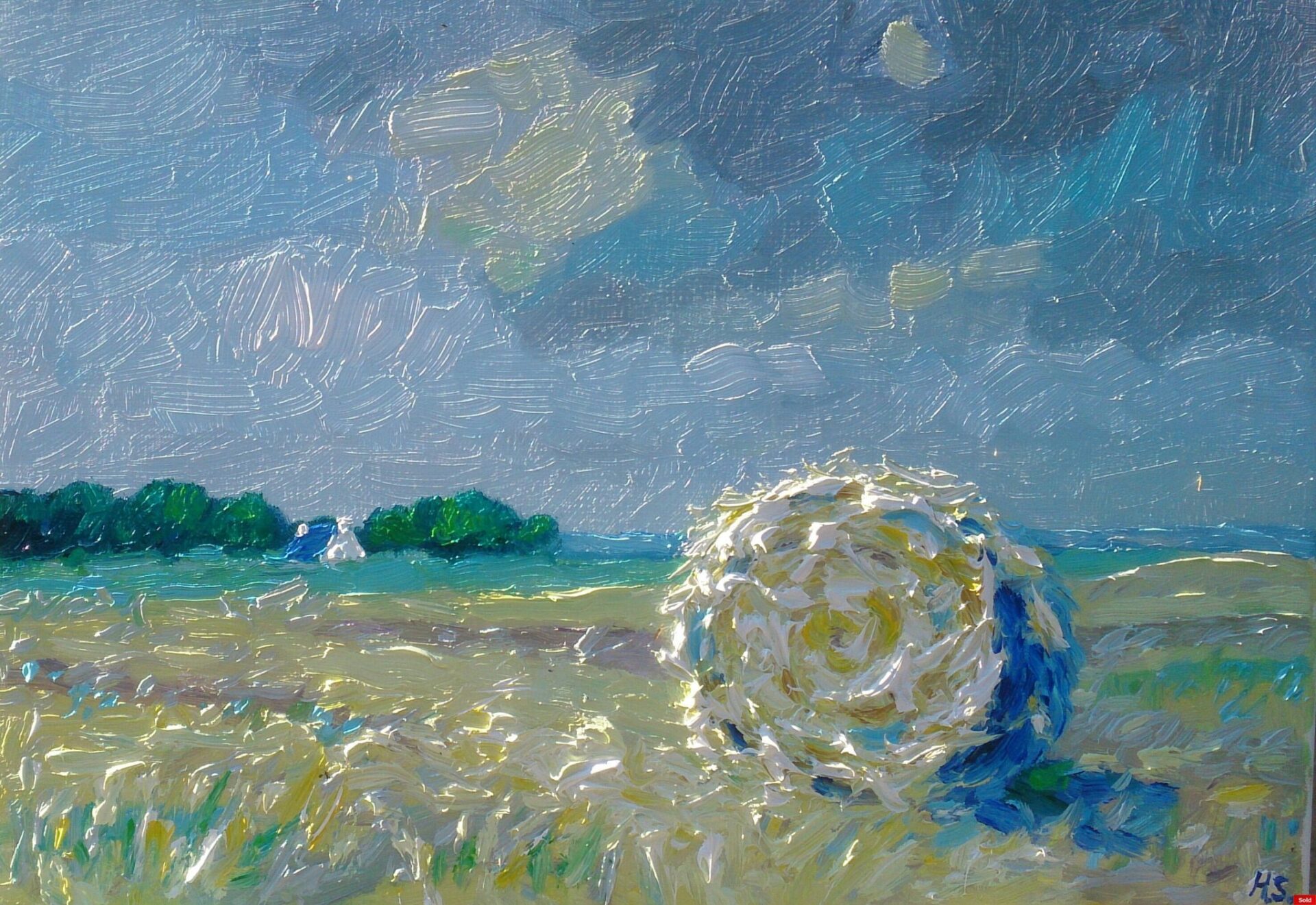 Hooien Bretagne Finistere 3