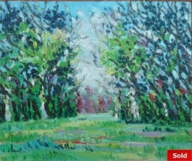 Walcheren dichtbij huis