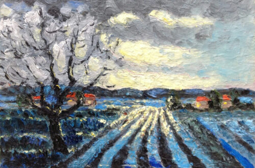 Avondlicht op Walcheren