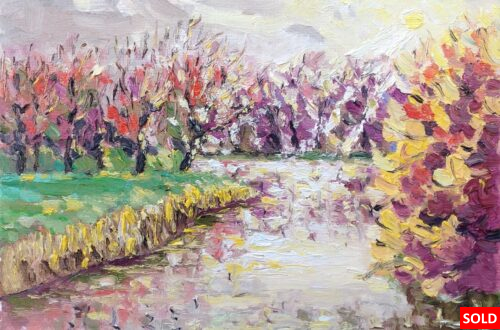 Herfst in Veerse bos