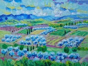 Vallei met olijfbomen bij St. Zacharie Provence