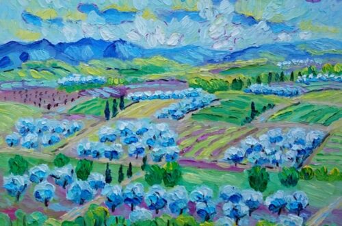 Vallei met olijfbomen bij St. Zacharie Provence