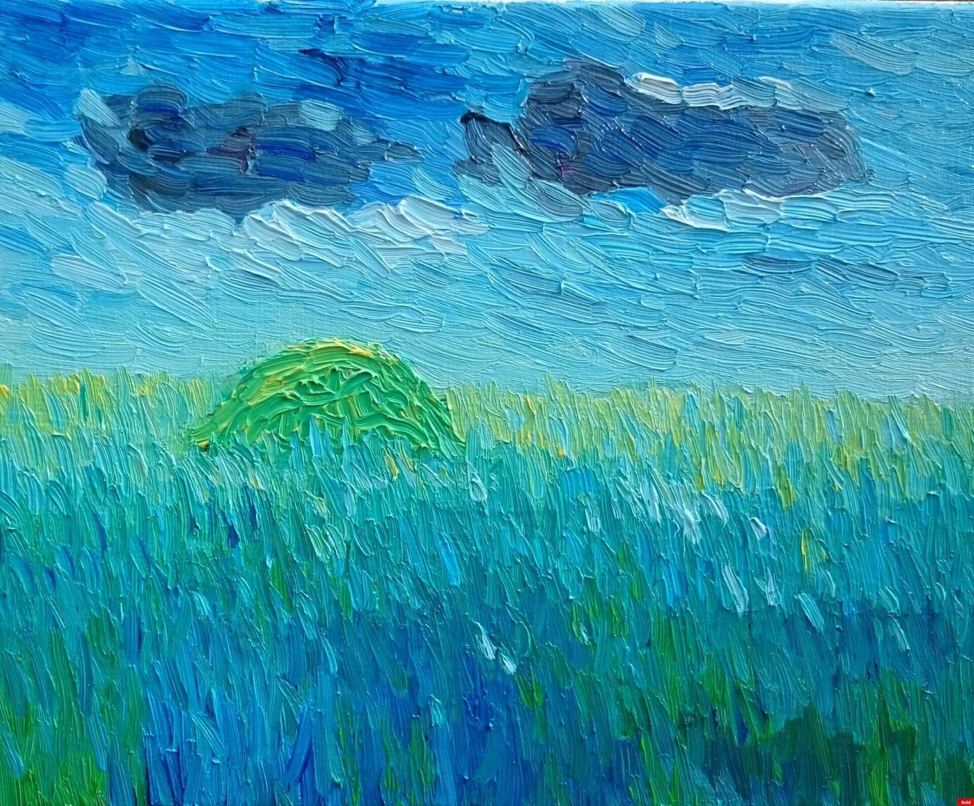 Vliedbergje Walcheren in middaglicht