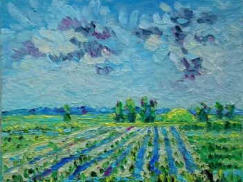 Walcheren met vliedbergje