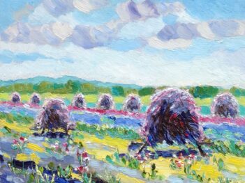 Ruiters met bloemen Silene Walcheren