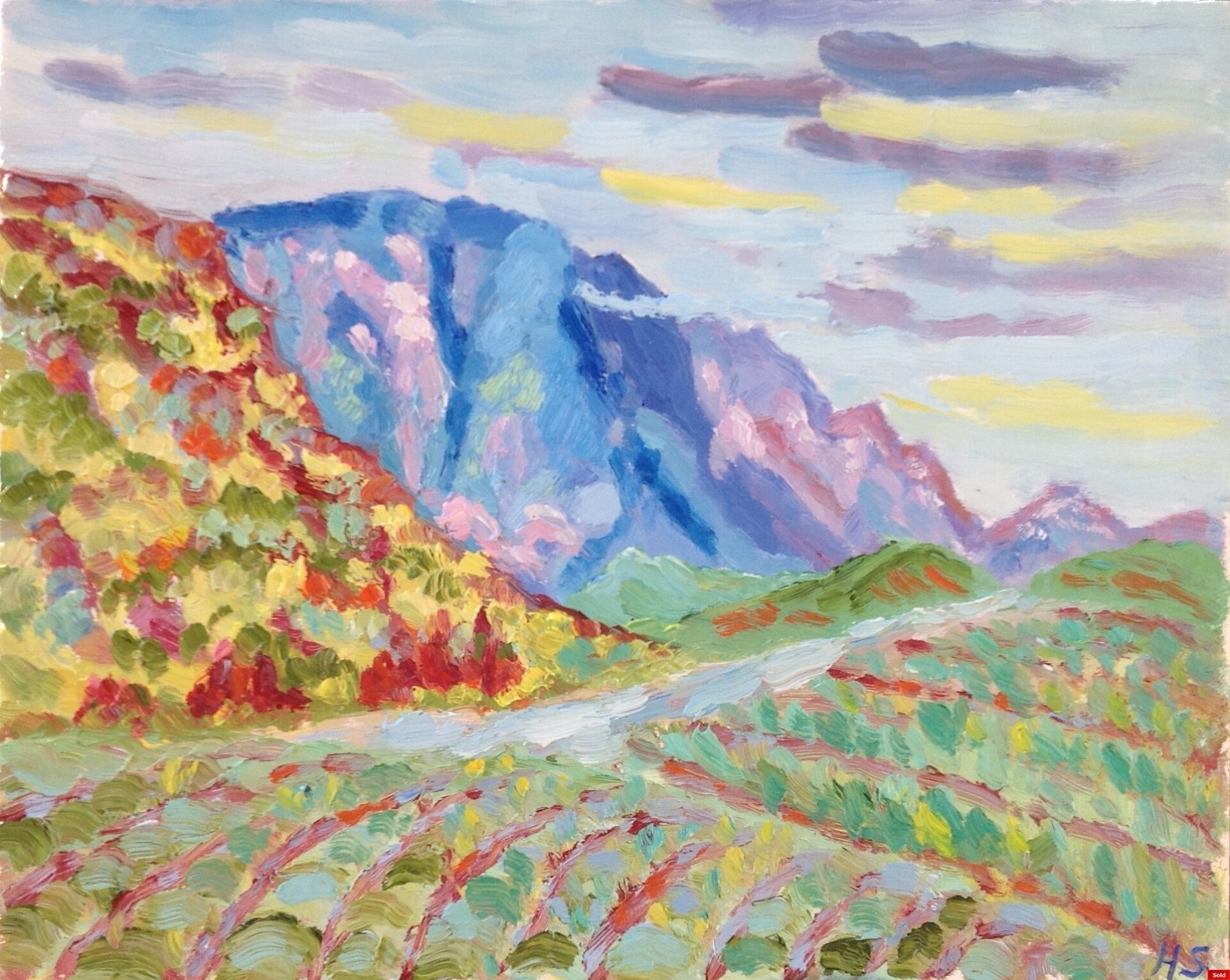 Montagne de Bluye bij Mont Ventoux