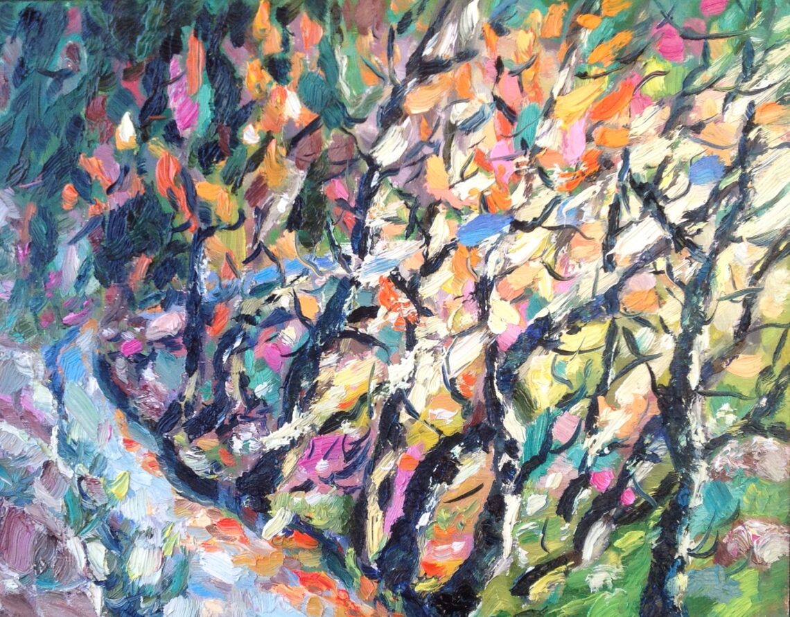 Ligurische Alpen wegje naar Bajardo