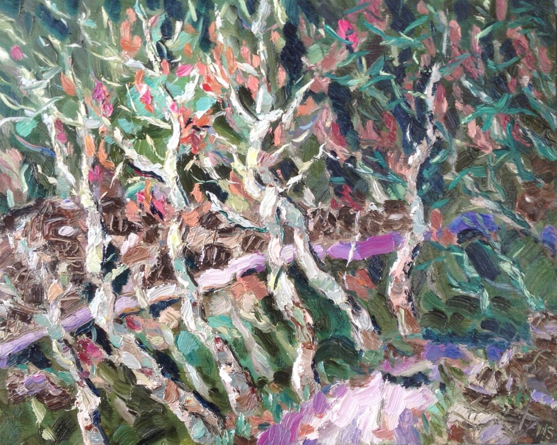 Ligurische Alpen wegje terug van Bajardo