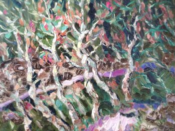 Ligurische Alpen wegje terug van Bajardo