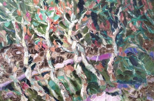 Ligurische Alpen wegje terug van Bajardo