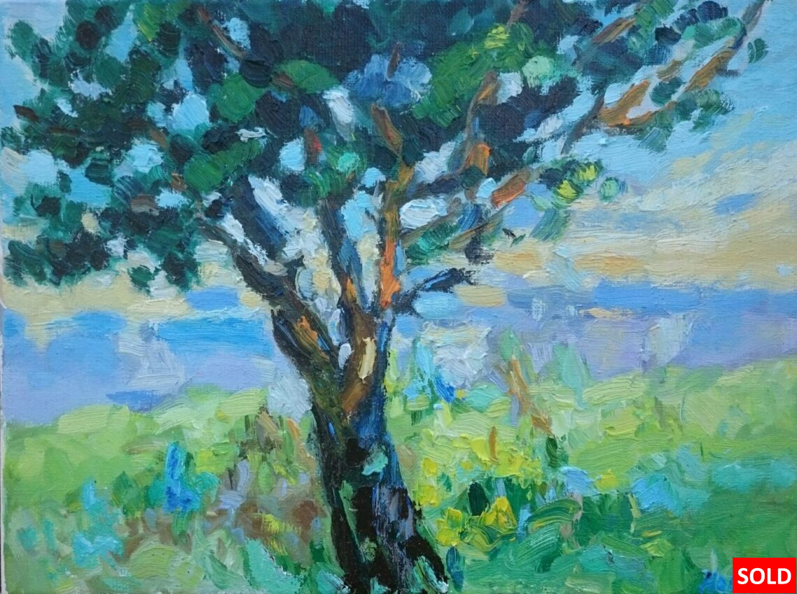 Boom Squividan Bretagne