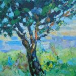 Boom Squividan Bretagne