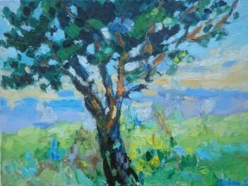 Boom Squividan Bretagne