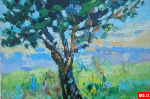 Boom Squividan Bretagne