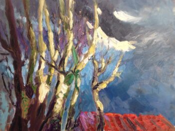 Terugkeer zon na onweer Orange