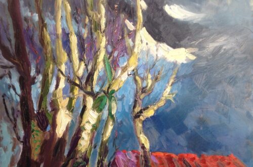 Terugkeer zon na onweer Orange