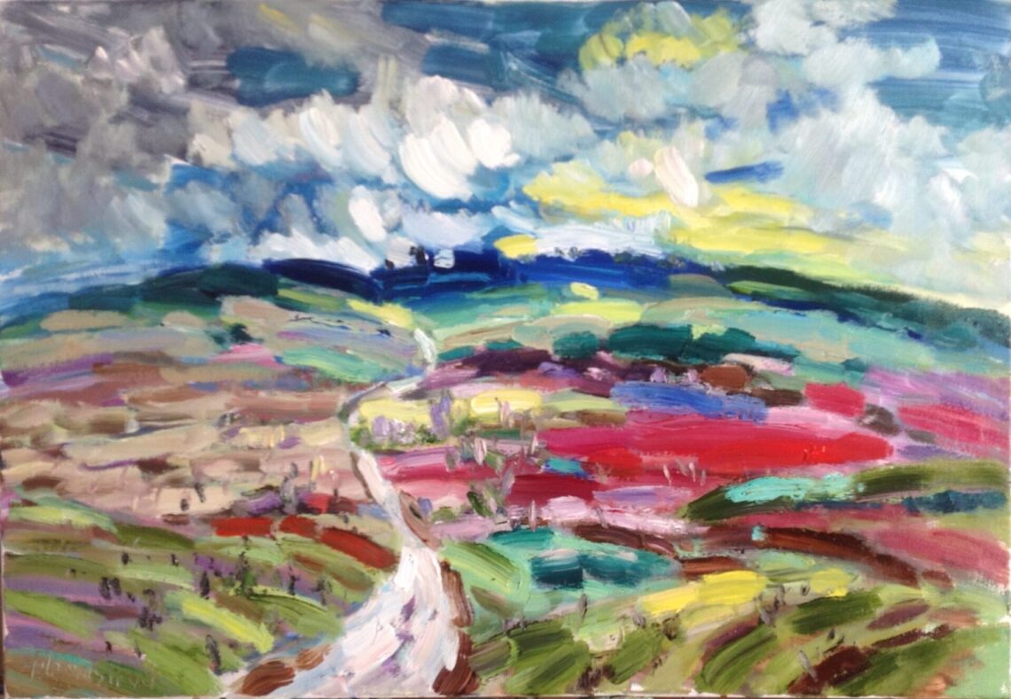 Landschap bij Chateauneuf-du-Pape