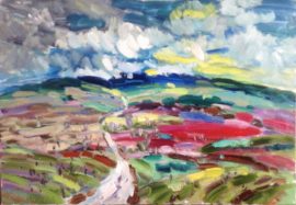 Landschap bij Chateauneuf-du-Pape