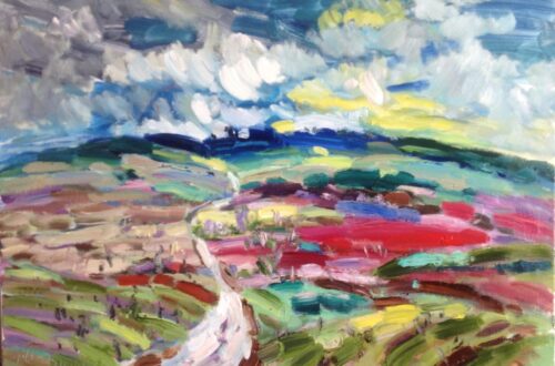 Landschap bij Chateauneuf-du-Pape