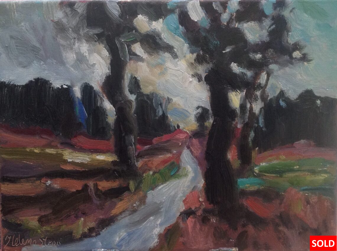 Route de campagne Pays du Comtat