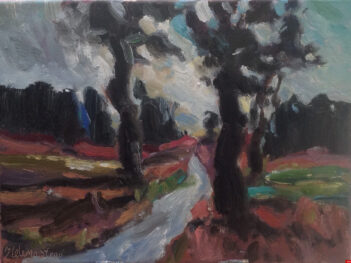 Route de campagne Pays du Comtat