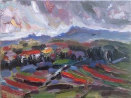 Vallée de Rhône près de Chateauneuf-du-Pape