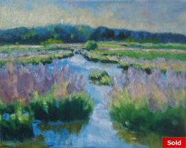 Buttinge Domburgse watergang