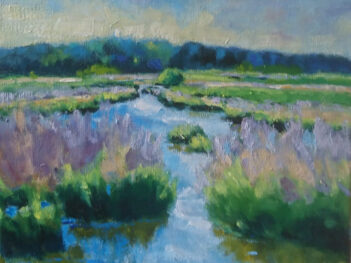 Buttinge Domburgse watergang